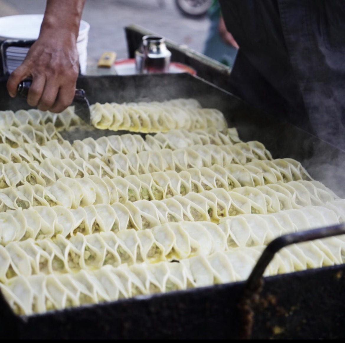 Darou Guotie Pork Potstickers